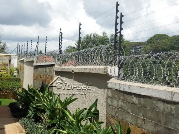 topwall electric fence