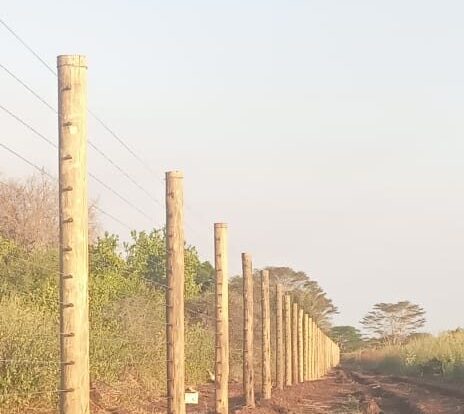 Electric Fence installers in Kenya Electric Fence installers in Kenya