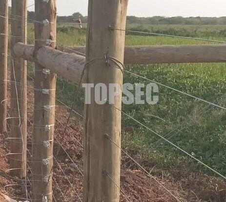 WhatsApp Image 2024-03-28 at 16.39.56_f8866a79 electric fence for wildlife