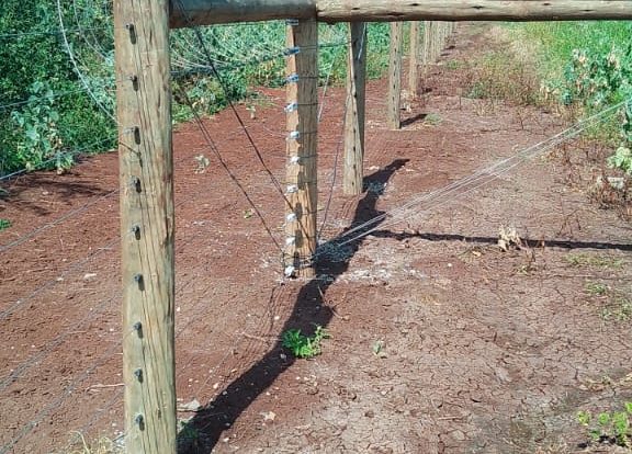 IMG-20260409-WA0000 Electric fence installers for wildlife in kenya