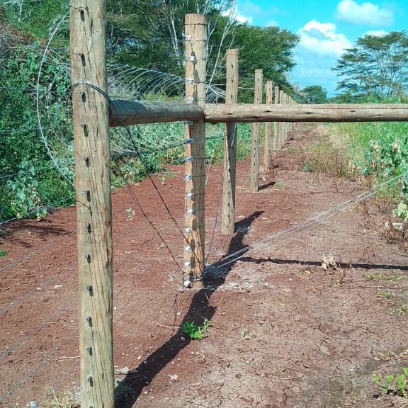 Electric fence installers for wildlife in kenya